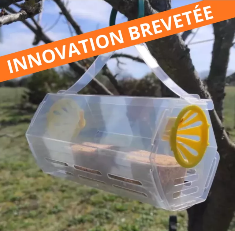 Piégeage frelon asiatique avec piège sélectif VespiGuard